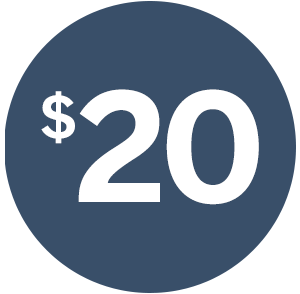 20